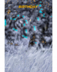 Bithday cb editing background snapseed