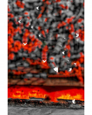 Black and red cb editing background