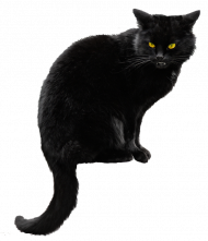 Black Cat Silhouette