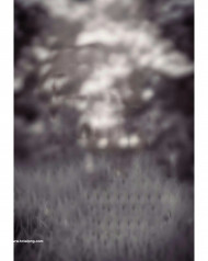 Black cb editing background