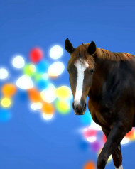 Black horse editing background