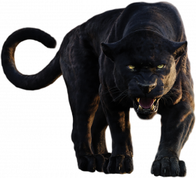 Black pnather hd transparent png images