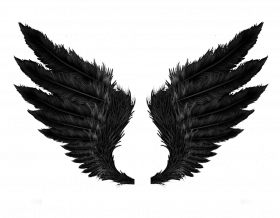 Black & white wing png