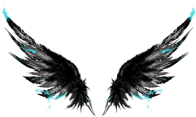 Black Wing PNG Transparent Images Free