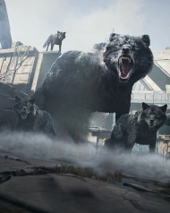 Black Wolf Hd Background phoroshop Manipulation