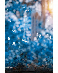 Blue glowing butterflies cb editing background