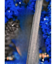 Blue hd cb backgrounds images