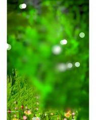 Blur bokeh effct hd cb editing background
