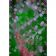 Blur Cb Background Bokeh Effect For Picsart Manipulation Editing
