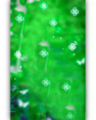 Blur Cb Background Full Hd Bokeh Effect Download