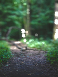 Blur Cb Background Full Hd Download Free