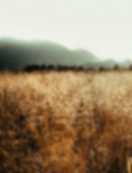 Blur Cb Background Full Hd Download Free