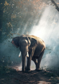 Blur Cb Background Full Hd Download Free