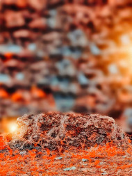 Blur cb backgrounds by totalpng