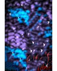 Blur cb editing background