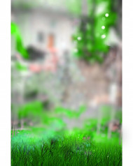 Blur cb editing background