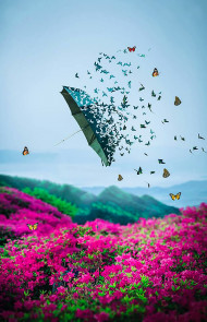 Blur Cb Editing Background Download