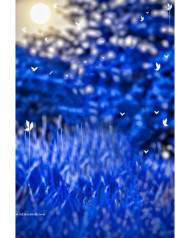 Blur Color Cb Hd Editing Background Snapseed Download