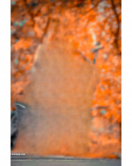 Blur hd cb editing background