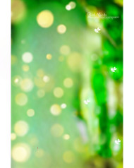 Blur hd cb editing background