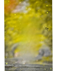 Blur hd cb editing background