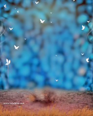 Blur snapseed cb editing background