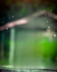 Blur trending cb background