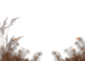 Blurred grass Png Download Image Free