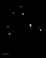 Blutterflies png images download