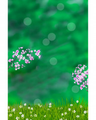 Bokeh Cb Background Best Snapseed Photo Editing