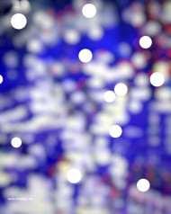 Bokeh cb editing background snapseed