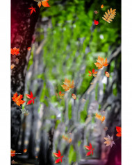 Bokeh Effect Cb Background For Picsart Editing Download