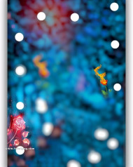 Bokeh effect cb background hd full size 4k