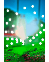 Bokeh effect cb editing background