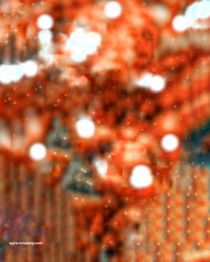 Bokeh effect cb editing background