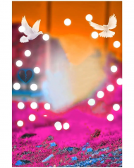 Bokeh effect cb editing background