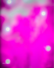Bokeh effect cb editing background hd
