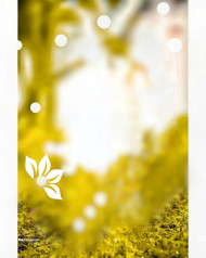 Bokeh effect cb editing background snapseed