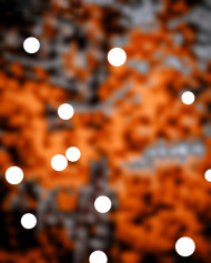 Bokeh effect hd cb background for editing