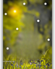 Bokeh effect hd cb backgrounds