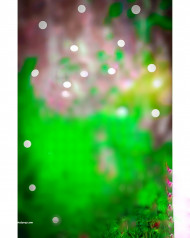 Bokeh effect Hd cb editing background