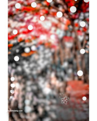 Bokeh effect hd cb editing background