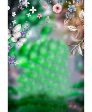 Bokeh Photo Esditing Backgropund Full Blur Hd Download  (2)