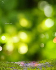 Bokeh photoshop hd editing background
