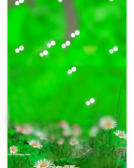 Bokeh Trending Cb editing Bcakground