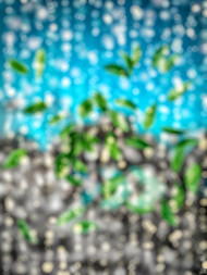 Bokhe effect editing backgrounds