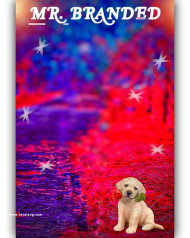 Branded cb editing background by totalpng