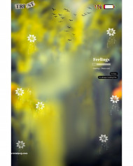 Broken cb editing background