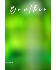 Brother Cb Blur Background Snapseed