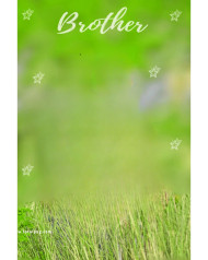 Brother cb editing background